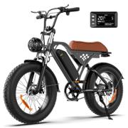 iScooter EB5 fatbike met 20-inch dikke banden